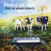 BancoDeGaia-LiveAtGlastonbury.jpg