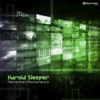 Harold Sleeper - Momentary Permanence