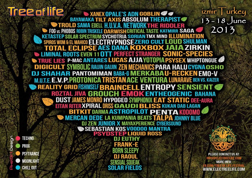 Johnny Blue @ Tree Of Life Festival 2013 (Lake Stage psychill Dj mix)
