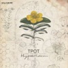 RL2018-TPOT-Hypericum.jpg