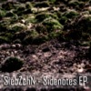 SiebZehN - Sidenotes EP