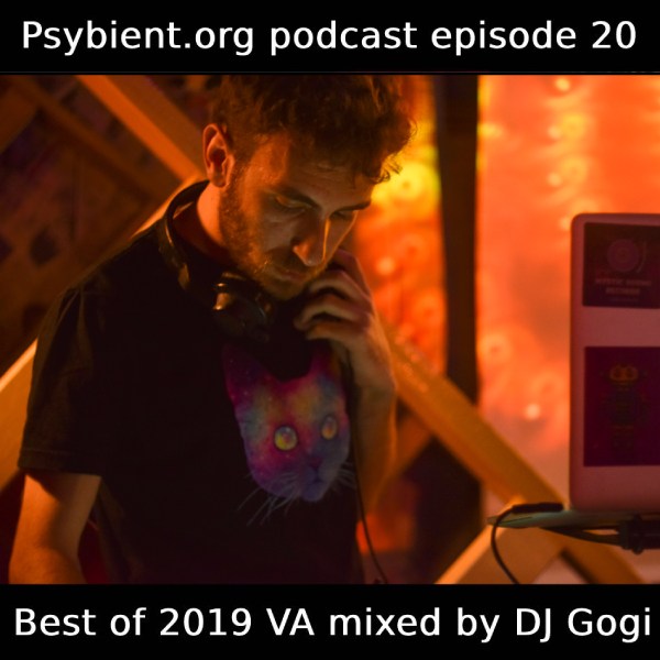 psybient.org podcast ep20 – DJ Gogi – 2019 VAs Picks Mix