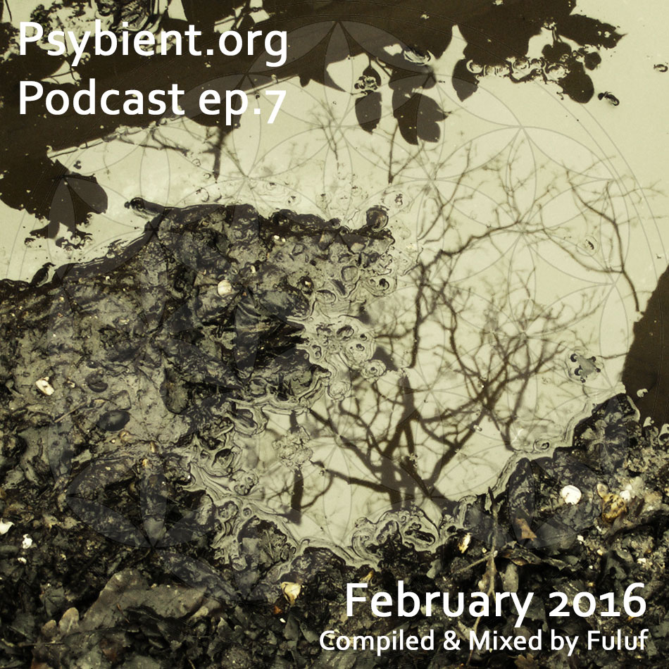 psybient.org – podcast – episode 7 with Fuluf