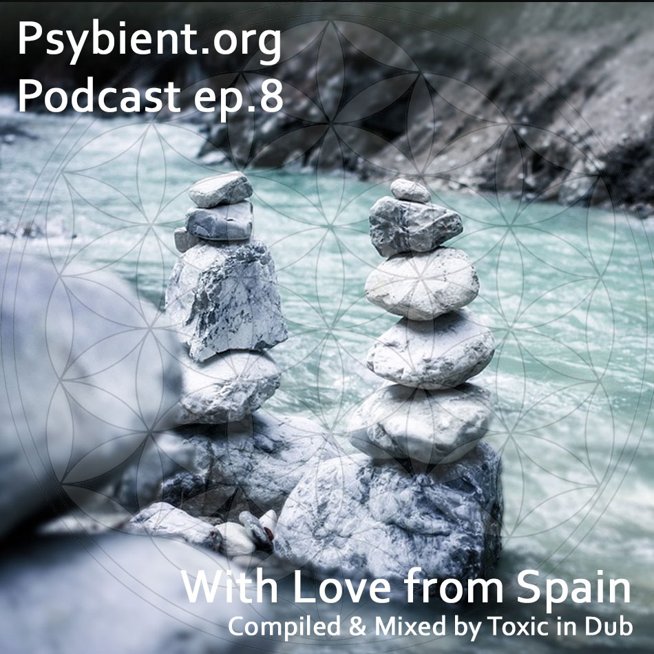 psybient.org – podcast – episode 8 with Toxic In Dub